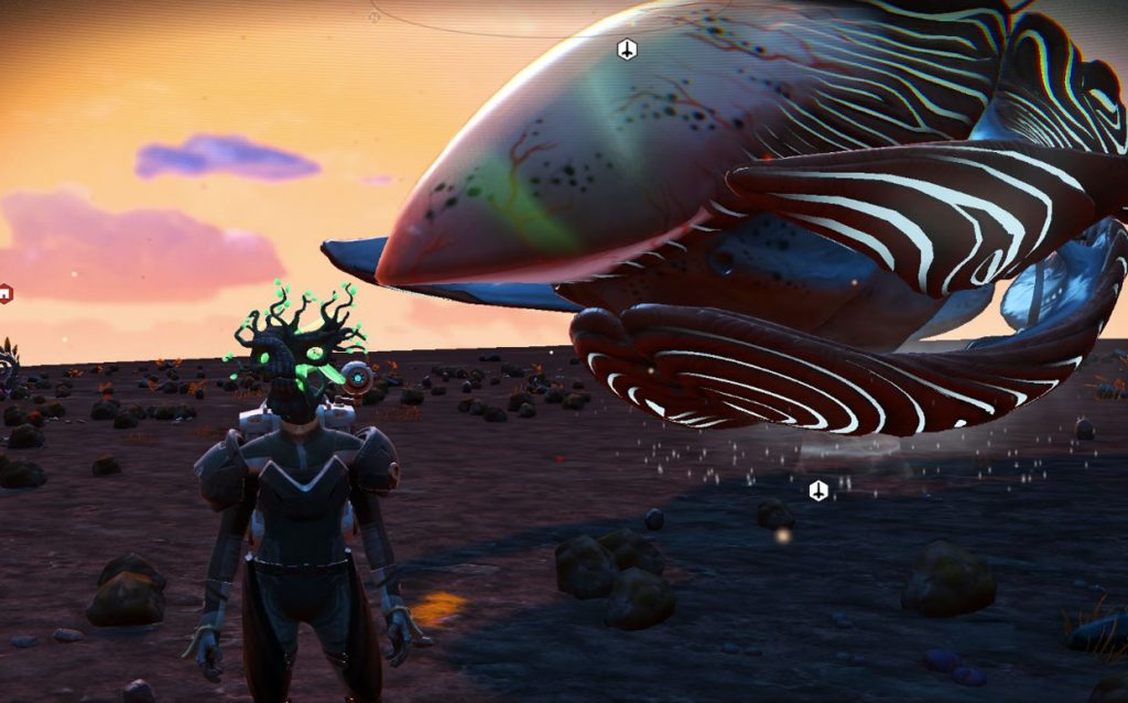 nms-ship